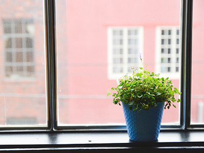 温暖的在线DDOS压力测试网页端